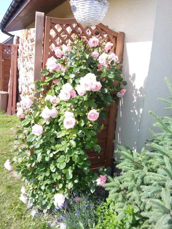Villa Honoratka Z Prywatnym Polem Do Gry W Mini Golf Rewal Exterior foto